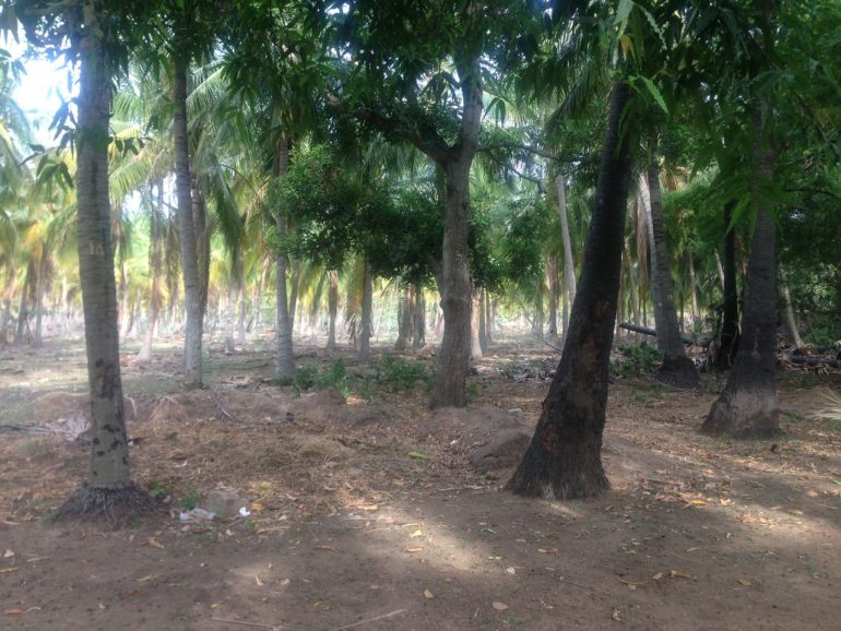 farm land for sale in omr kayar chennai