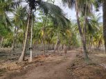 farm land for sale in omr kayar chennai