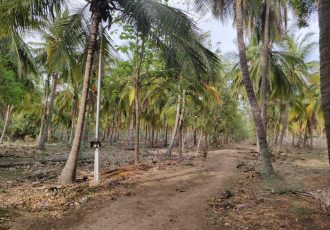 farm land for sale in omr kayar chennai