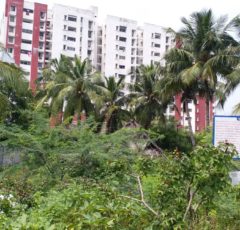 bank auction land / plot sale omr kalavakkam