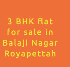 3 bhk flat for sale in balaji nagar royapettah