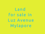 plot for sale in luz avenue mylapore