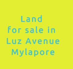 plot for sale in luz avenue mylapore