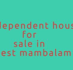 independent-house-for-sale-in-west-mambalam