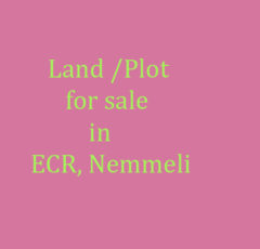 properties in ecr nemmeli