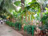 individual villa sale ecr pattipulam chennai