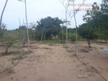 bank auction land sale ecr muttukadu chennai