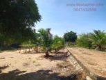 bank auction land sale muttukadu ecr chennai