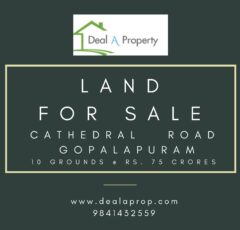 land sale cathedral road gopalapuram chennai
