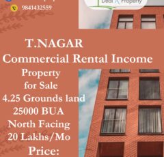 income property sale t.nagar chennai