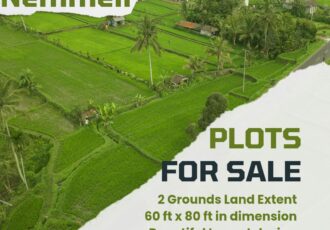 properties sale ecr nemmeli chennai